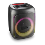 NGS SPEAKER WILD SWAG GO PORTATILE BT/TWS/USB/TF/AUX-IN 80W