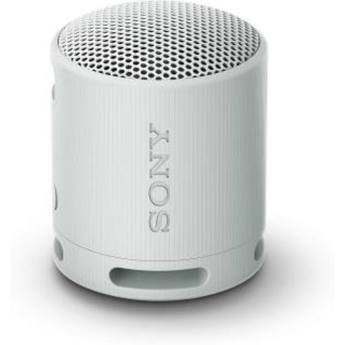 SONY SRS-XB100 SPEAKER WIRELESS BLUETOOTH GRIGIO
