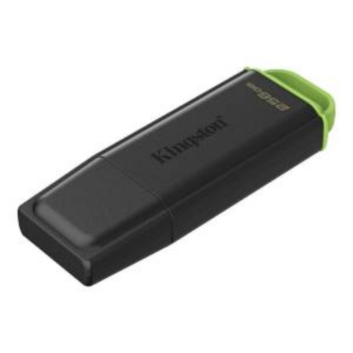 KINGSTON PENDRIVE USB-A 3.2256GB DTXG2/256GB NERO/VERDE